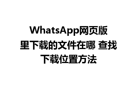 WhatsApp网页版里下载的文件在哪 查找下载位置方法